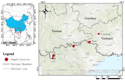 Geographical variation and genetic diversity of Parashorea chinensis germplasm resources